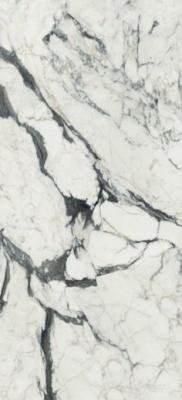 Керамогранит Bijoux Calacata Altissimo Blanc Glossy (766330) 60x120 от REX Ceramiche (Италия)