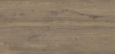 Керамогранит GRESPANIA COVERLAM JUNGLA TECA 120х260х3.5