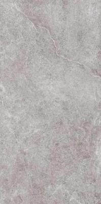 Керамогранит Coverlam ARLES GRIS 120x260x5.6 от Coverlam (Испания)