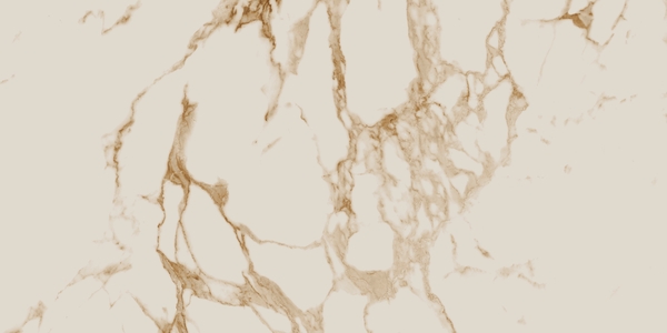 Calacatta Gold Pol. Rect 60x120