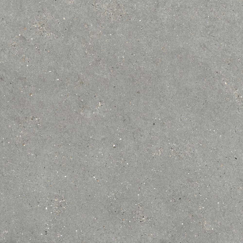 MITICA GRIS 120X120 REC.