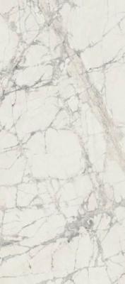 Керамогранит PREXIOUS REX MOUNTAIN TREASURE GLO (755816) 80x180 от REX Ceramiche (Италия)