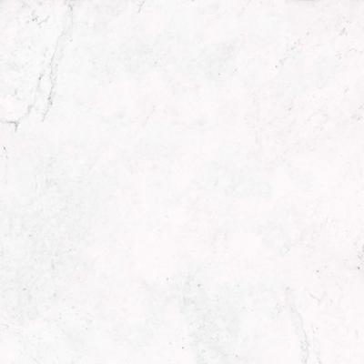 V5590844 RIVOLI 59,6x59,6