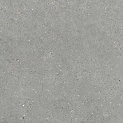 MITICA GRIS 120X120 REC.