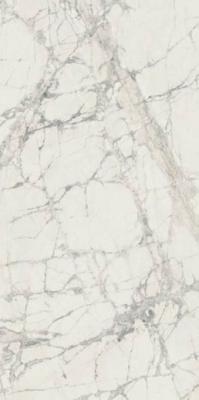 Керамогранит PREXIOUS REX MOUNTAIN TREASURE GLO (755844) 60x120 от REX Ceramiche (Италия)