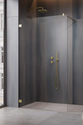 Essenza Pro 8 Brushed Gold Walk-in 160 прозрачное