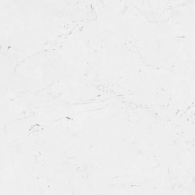 Керамогранит PORCELANOSA FONTANA MATT L 120х120x8 G-392