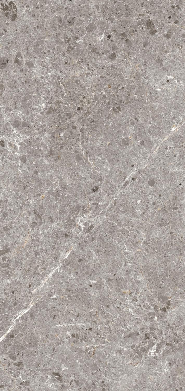 ARTIC GRIS PUL.120X260 5,6