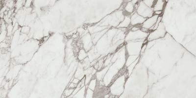 Керамогранит Calacatta Silver Pol. Rect 60x120