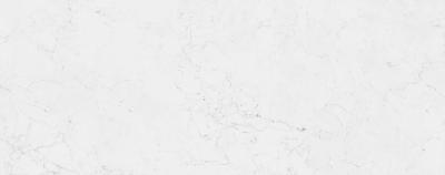 Керамическая плитка  PORCELANOSA FONTANA 59.6х150 G-276