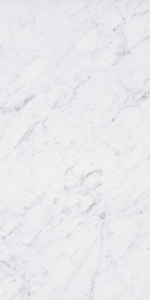Керамогранит Italic Carrara (4101065) 60x120 от 41ZERO42 (Италия)