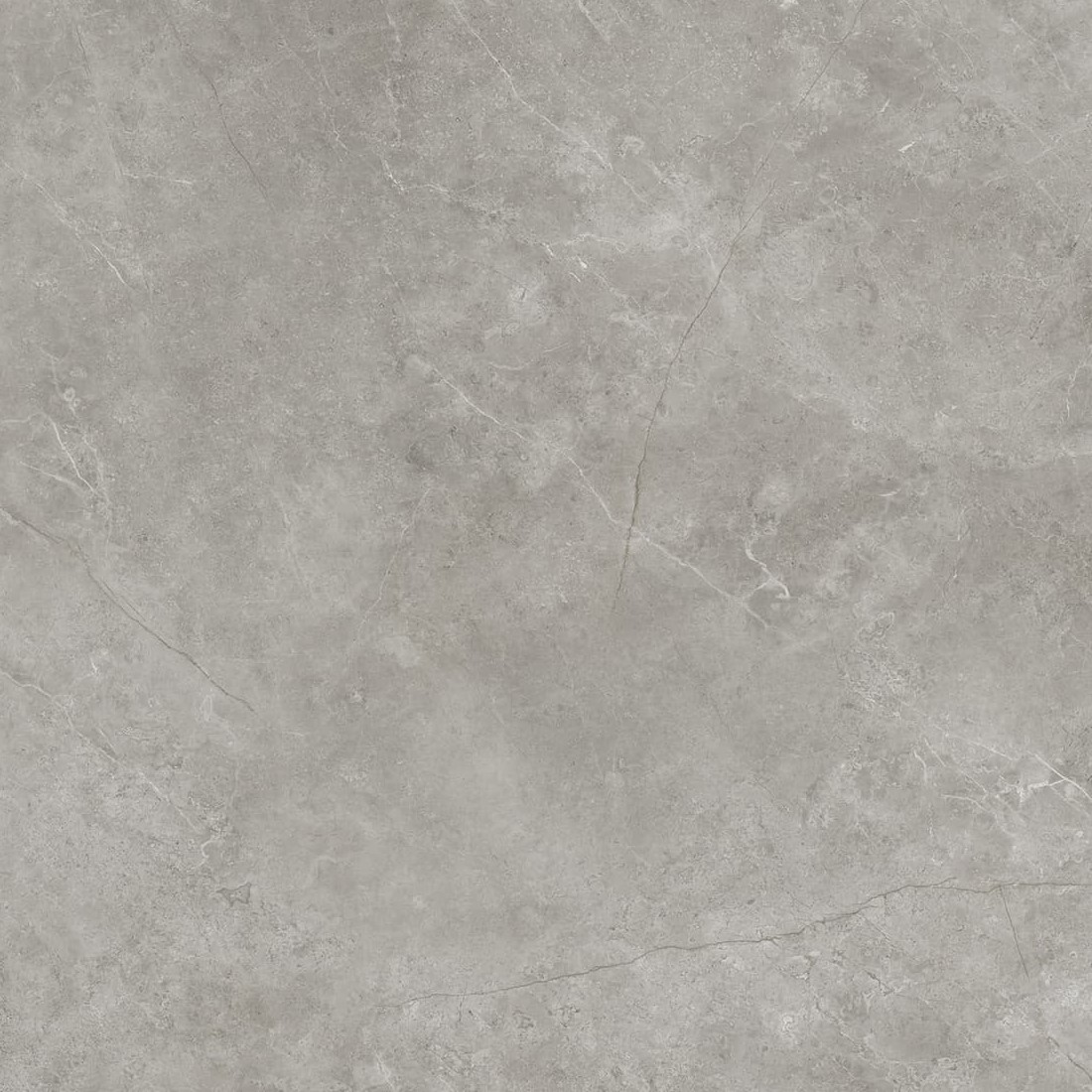 Керамогранит PORCELANOSA XLIGHT FIORI DI BOSCO SILK 120х120x6 G-2530