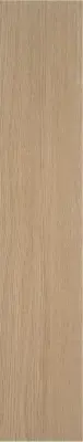 Керамогранит STN CERAMICA KYNDAL ROBLE MATE 23X120