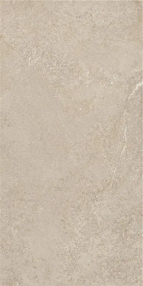 Керамогранит STN CERAMICA ARENITE NATURAL MT 60X120