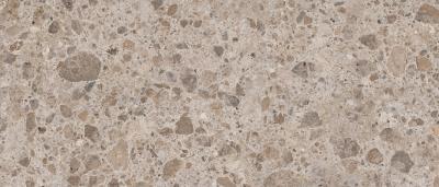 Керамогранит слэб MIRAGE OKEN RR 08 NAT SQ 120х278x6 (Италия)