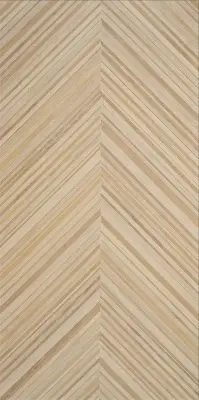 Керамогранит STN CERAMICA MERIDIANA MARQUETRY LIGHT 60x120