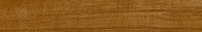 Oxford Cognac 19,3x120