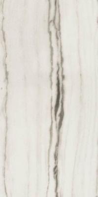 Керамогранит PREXIOUS REX WHITE FANTASY GLO (755843) 60x120 от REX Ceramiche (Италия)