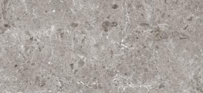 Керамогранит GRESPANIA COVERLAM ARTIC GRIS PULIDO 120х260х5.6