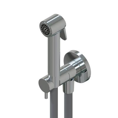 Ritmonio 72J026IX Toilet accessories Гигиенический душ с держателем IX BRUSHED