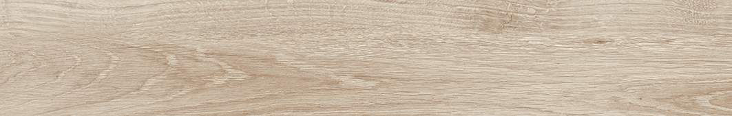 Ascot Arce 19,3x120