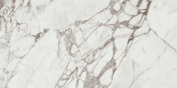 Керамогранит Calacatta Silver Pol. Rect 60x120
