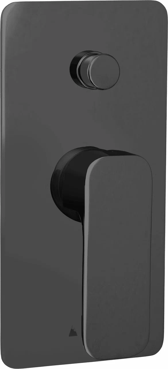Смеситель для душа встраиваемый Vetta Rubinetterie D-vetta DV1021M2-M001