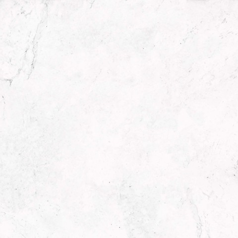 V5590844 RIVOLI 59,6x59,6
