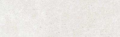 MITICA BLANCO 31,5X100 REC.