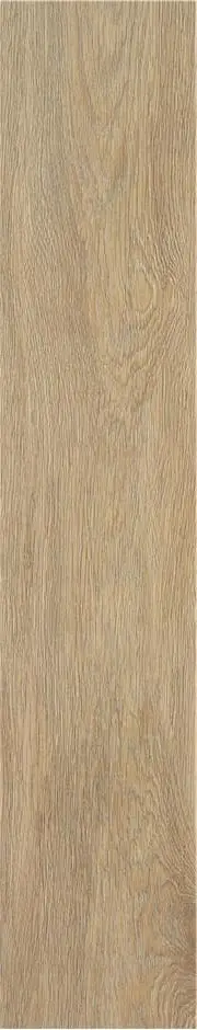 Керамогранит STN CERAMICA TACORA CAMEL MT 23X120