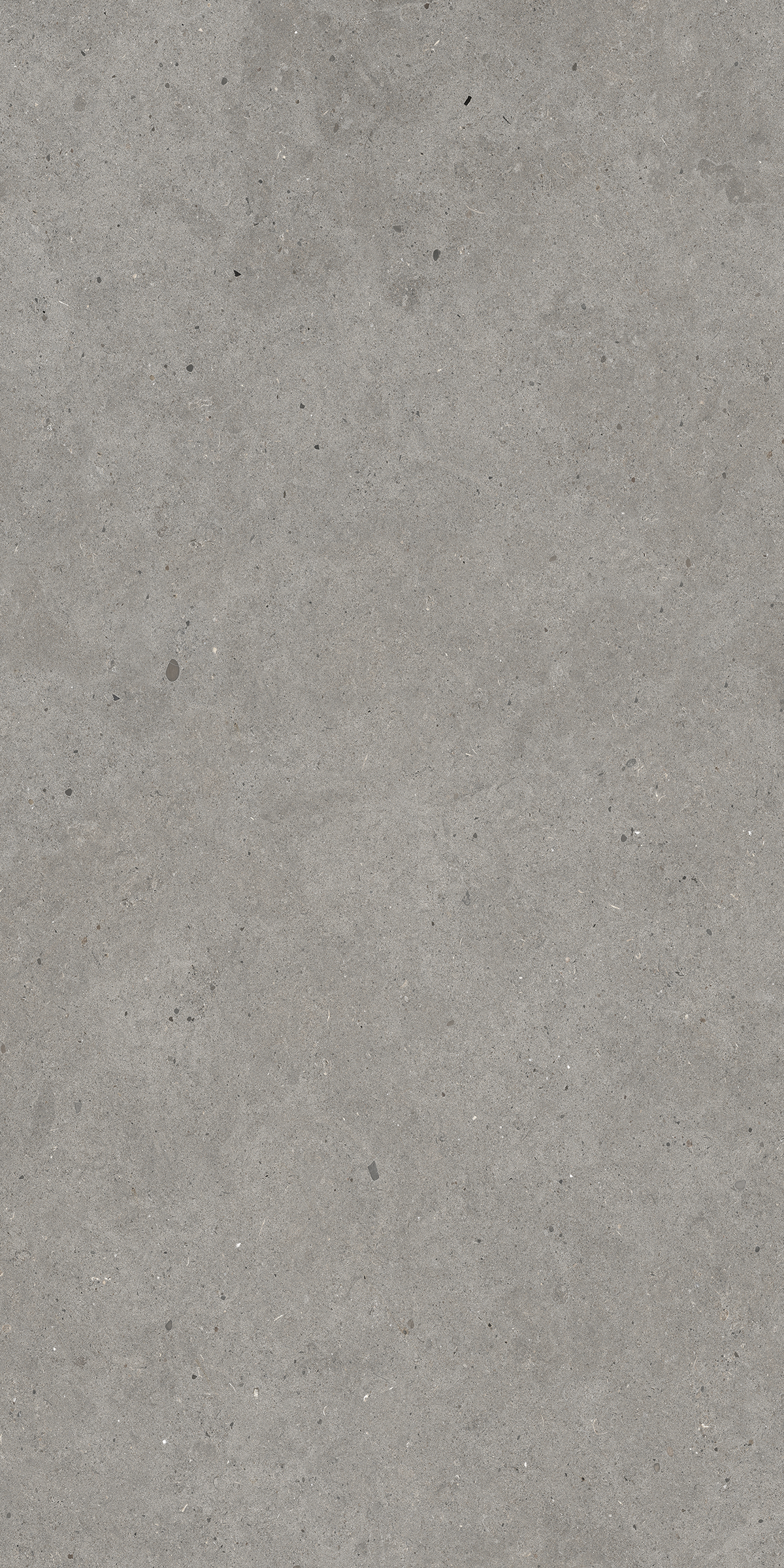 Керамогранит MIRAGE GRIS CATALAN EY 04 ST SQ 60х120х9 (Италия)