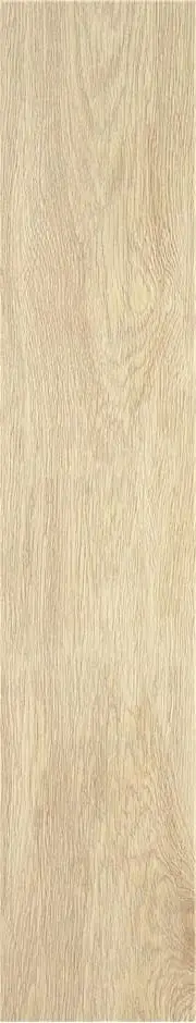 Керамогранит STN CERAMICA TACORA BEIGE MT 23X120